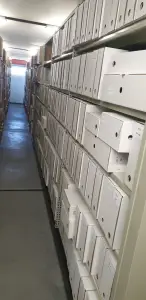 déménagements d'archives